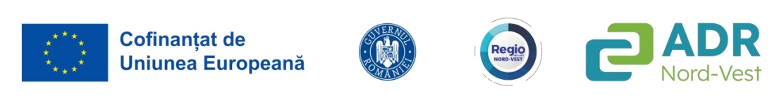  Creșterea competitivității SC Symetric Shape SRL prin digitalizarea activității