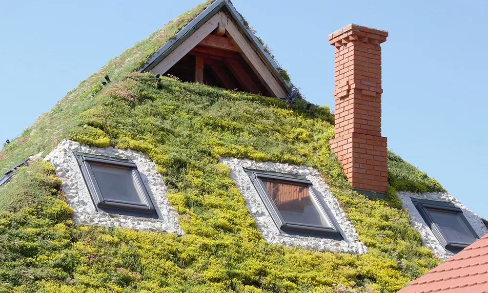 Acoperișurile verzi – beneficii reale pentru clădirile moderne 